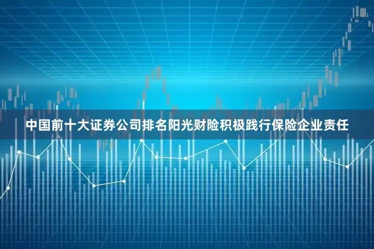 中国前十大证券公司排名阳光财险积极践行保险企业责任