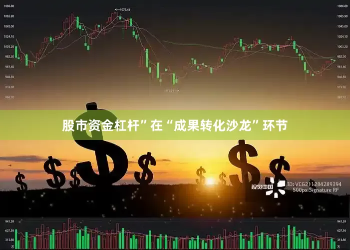 股市资金杠杆”在“成果转化沙龙”环节