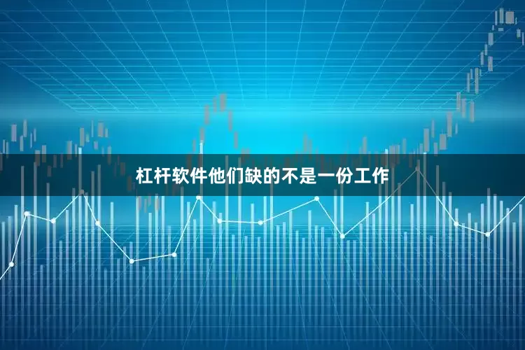 杠杆软件他们缺的不是一份工作